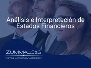 Análisis e Interpretación  de Estados Financieros.