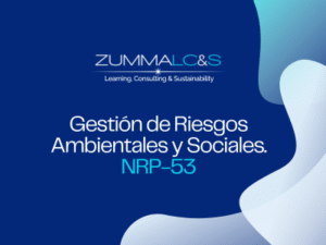 Gestión de Riesgos Ambientales y Sociales.NRP-53