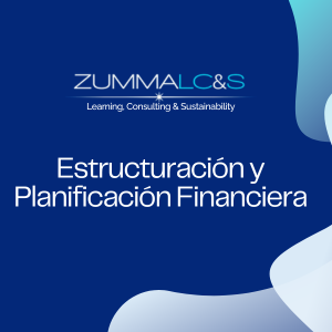 Estructuración y Planificación Financiera.
